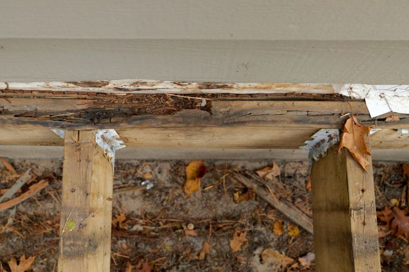 Dry Rot Repair in Olathe, KS