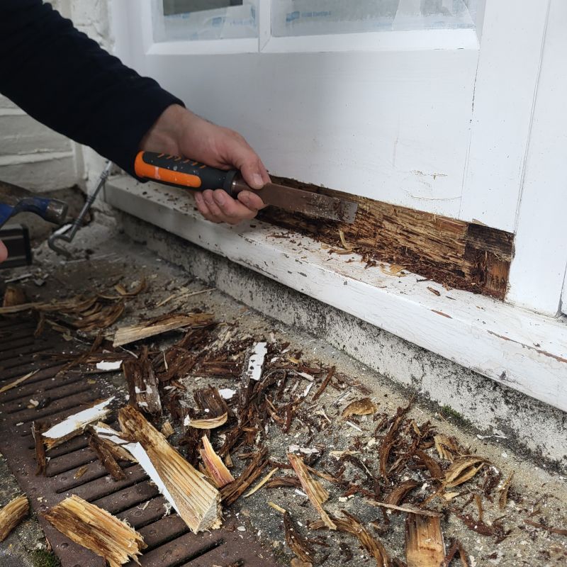 Wood Rot Removal in Indianapolis, IN