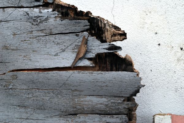 Wood Deterioration Restoration