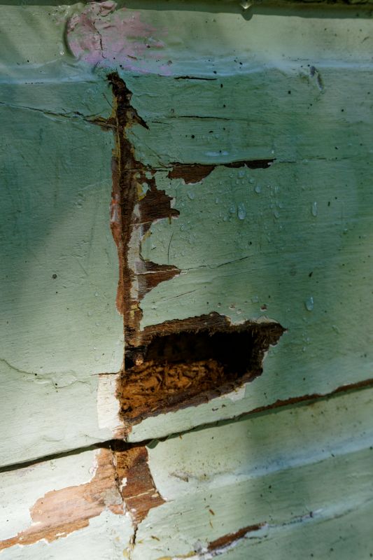 Decay Repair Service in Denver, CO