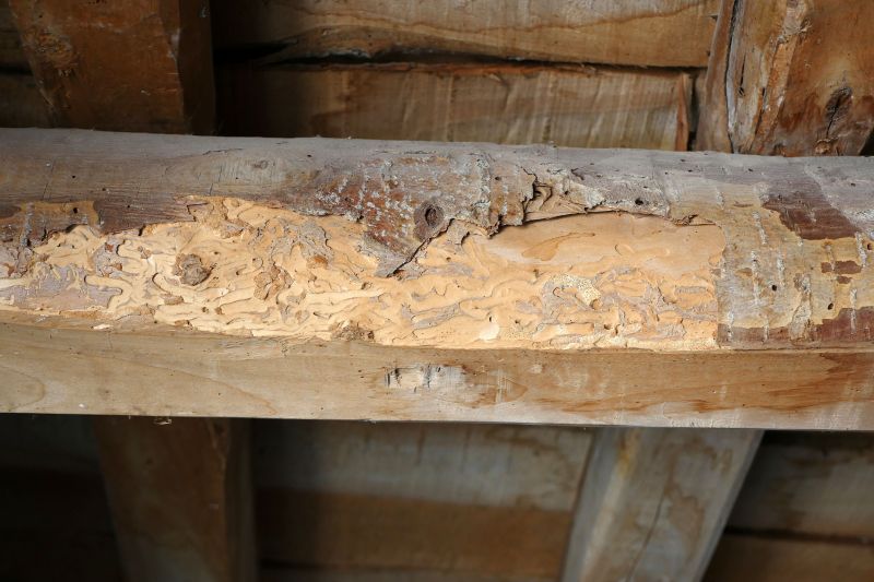 Decay Repair Service in Wilmington, NC