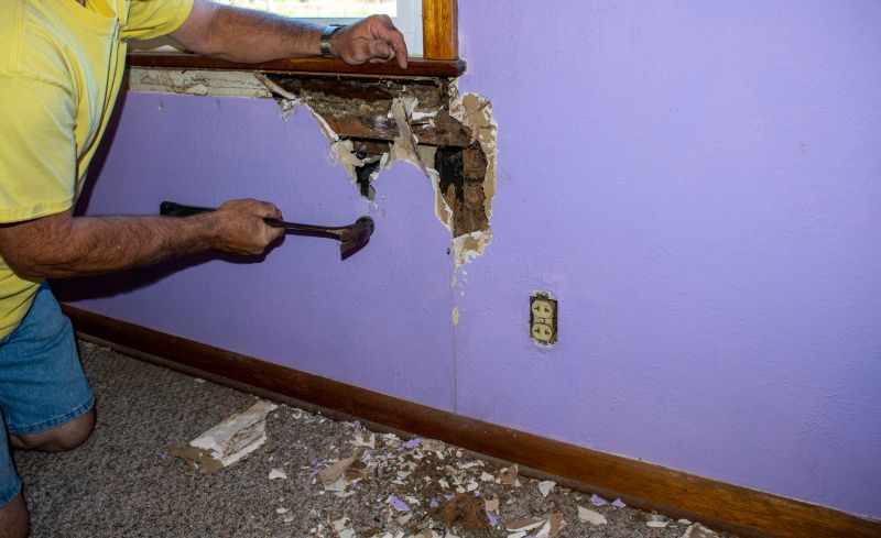 Pest Damage Repair in Kansas City, KS