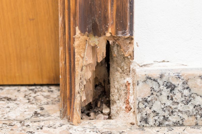 Rot Repair Service in Longmont, CO