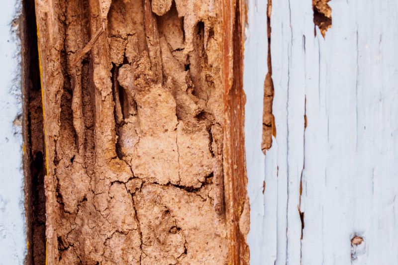 Rotten Wood Repair in Kansas City, MO
