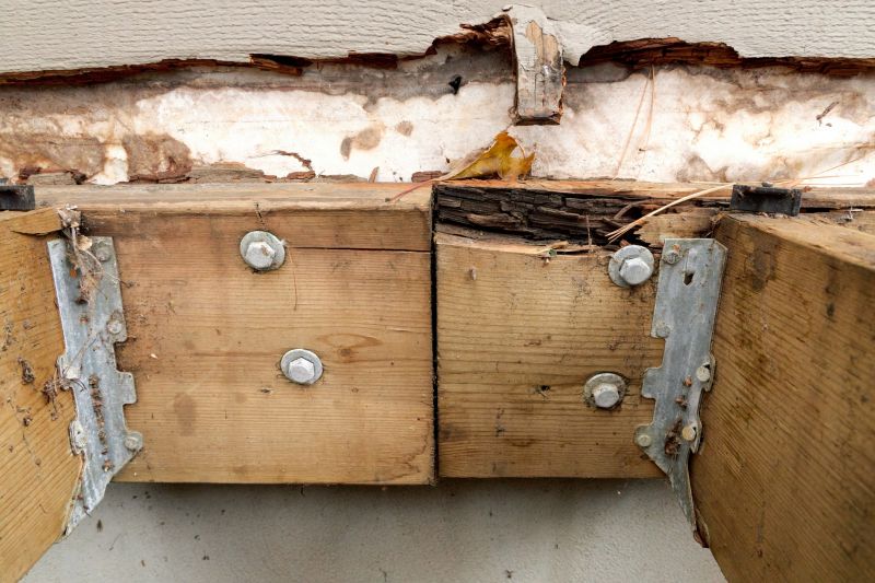 Rotten Wood Repair in Denver County, CO