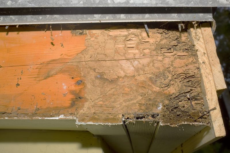 Structural Rot Repair in Olathe, KS