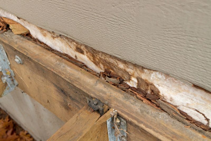 Structural Rot Repair in Denver, CO
