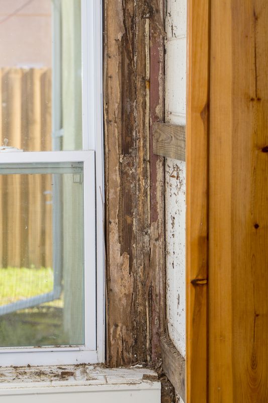 Termite Damage Restoration in Arvada, CO