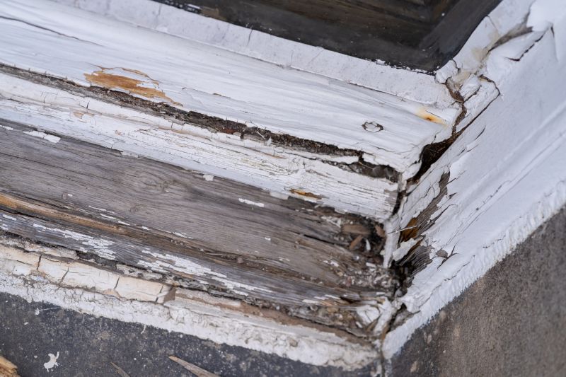 Wood Decay Removal in Alpharetta, GA