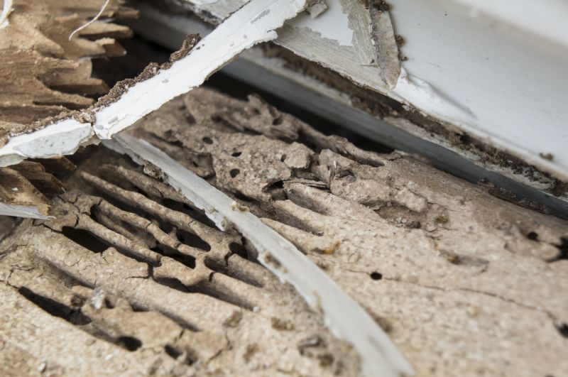 Wood Rot Removal in Kansas City, KS
